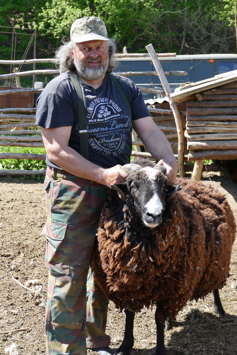 Sergey and Suleiman, a prize ram