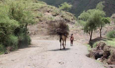 Fighting Climate Change: IOM helps Ethiopian farmers adapt to drought and flooding