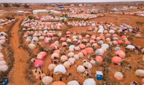 Camp Management: Critical Services for People Displaced by the Drought in Somalia 