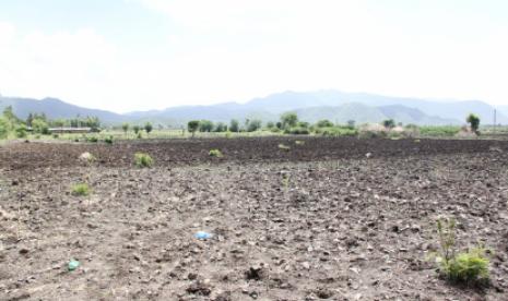 Climate Change in Ethiopia Pushes Farmers to Migrate