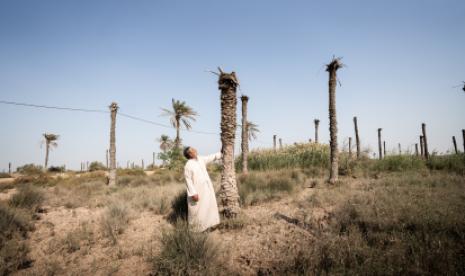 The Silent Enemy: How Climate Change is Wreaking Havoc in Iraq