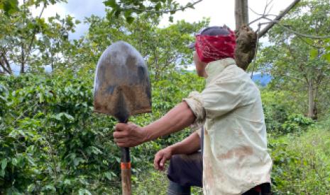 Costa Rica’s Coffee Crop Gives Traditional Villagers a Vital Boost