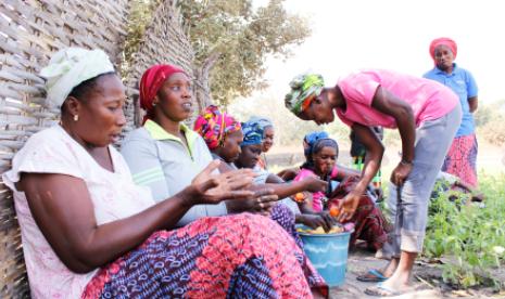 Cultivating Seeds of Cohesion and Solidarity in the Face of Climate Change