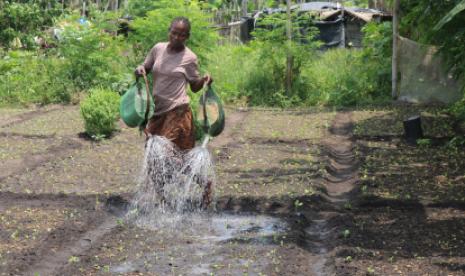 Empowering Farmers Through Access to Water: The Story of Kouadio Koffi Nadège