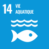 SDG 14 - VIE AQUATIQUE