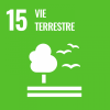 SDG 15 - VIE TERRESTRE
