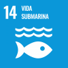 SDG 14 - VIDA SUBMARINA